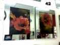 /album/galeria-de-fotos/a42-jpg/